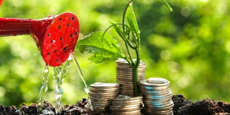 A watering can pouring water on money that's growing like a plant.