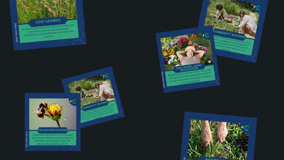 A collage of promotional cards highlighting the benefits of not mowing lawns in May, featuring text about cost savings, community building, relaxation, and promoting pollinator habitats.