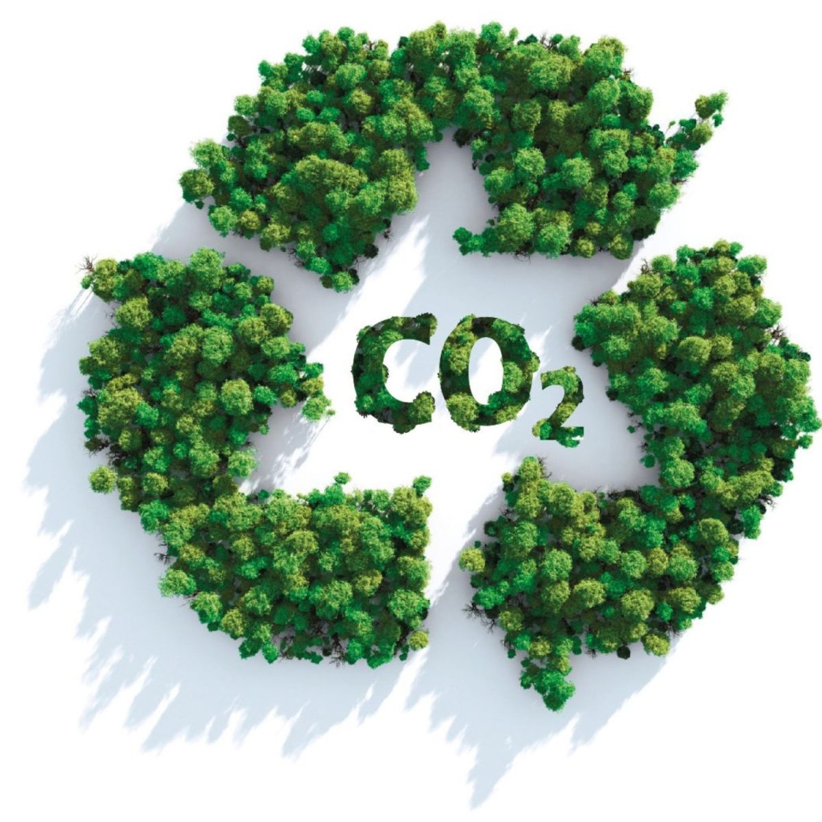 A circular arrangement of trees forming a recycling symbol with the text "CO2" in the center, symbolizing environmental conservation and carbon dioxide absorption.