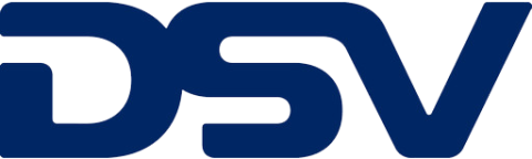 DSV logo