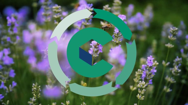 The green conTeyor symbol with 5 arrows surrounding it on a backddrop of a bee sittting on purple flowers