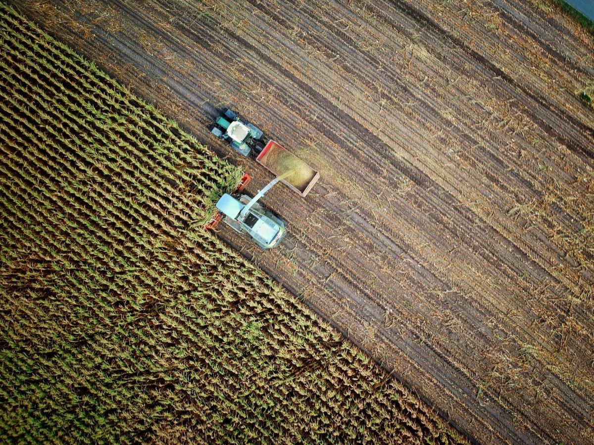 A birds-eye view of a harvester harvesting crops and offloading them to a tractor