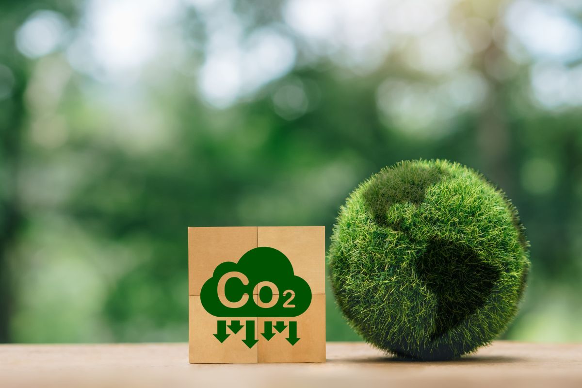 A green world globe. Next to it is a cardboard with a CO2 icon on it indicating a reduction in CO2.
